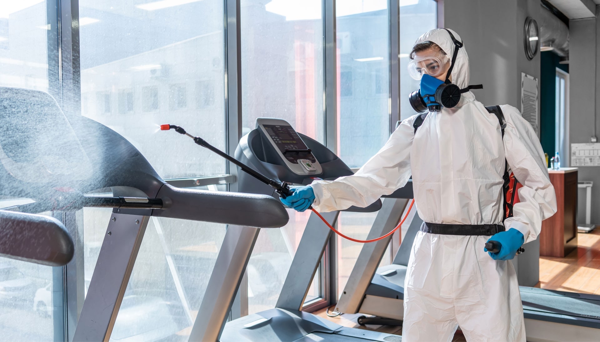 Commercial Mold Removal Services in Green Bay