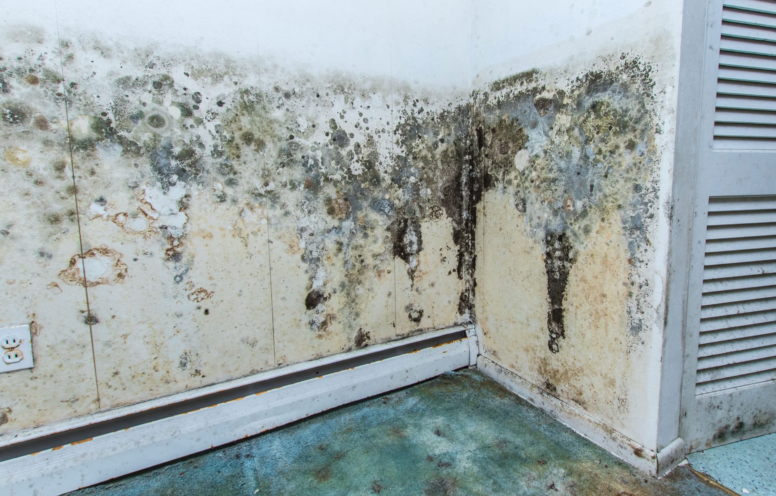 Mold Damager Odor Control Services in Green Bay
